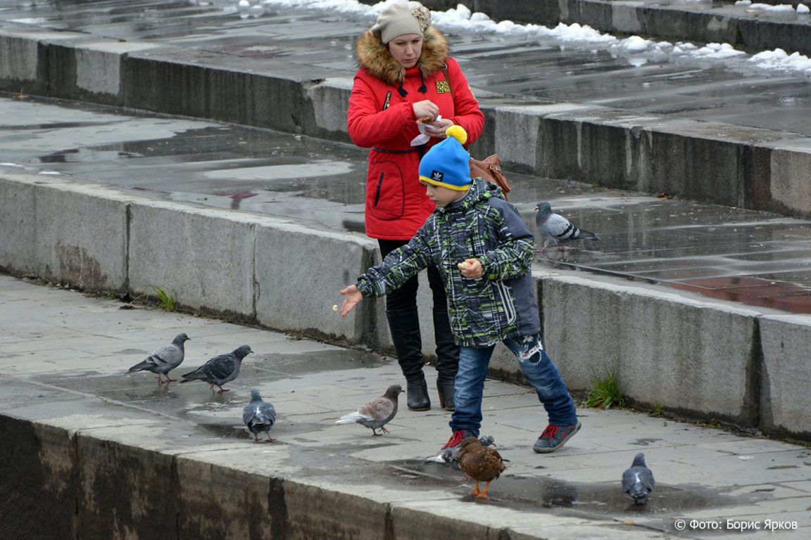 Агрессивные вороны и спокойные ястребы: как изменилось поведение птиц за  пандемию - «Уральский рабочий»